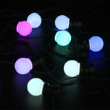 10 LED FESTOON Outdoor Lights Unclassified Lexi Lighting