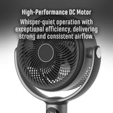 Sheffield 3D Pedestal Circulator Fan Unclassified Sheffield 
