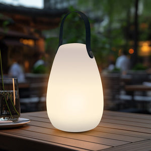 LED Table Lamp with Handle Unclassified Lexi Lighting 