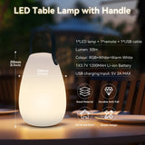 LED Table Lamp with Handle Unclassified Lexi Lighting 